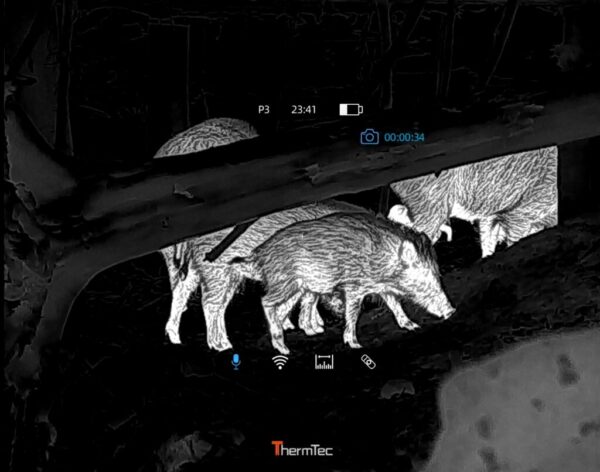Hunt-PRO-L-von-thermtec-mit-LRF-auf-Wildschwein-1024x806